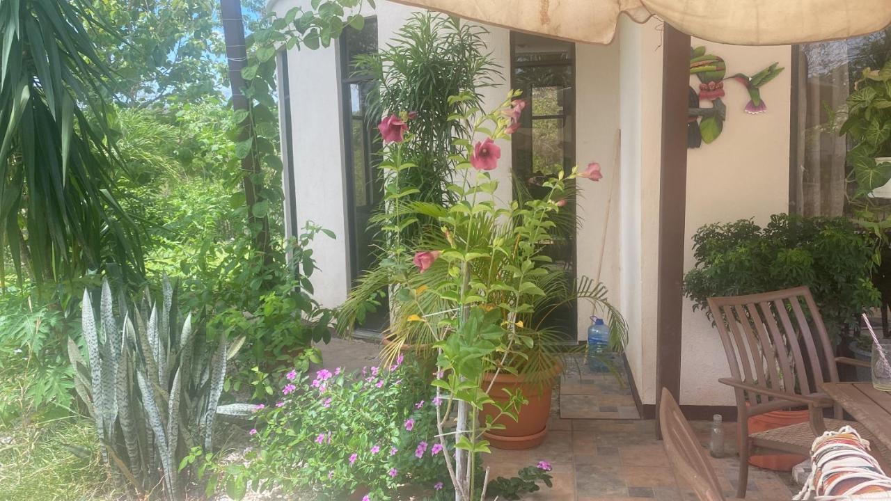 Villa Pura Vida Matapalo  Exterior foto